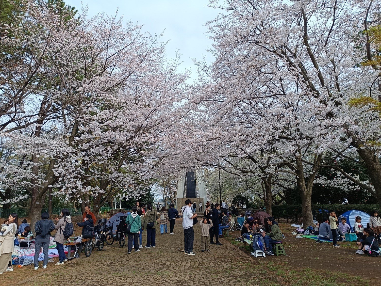 🏞️ 꿈의 언덕 동물공원 (유메미가사키 도부츠코엔) 이미지 9